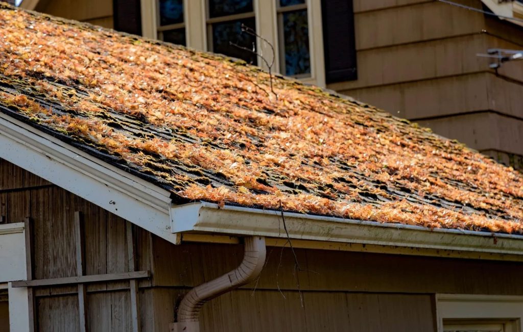 Blog 6 - common roof issues - 12 Stones Roofing