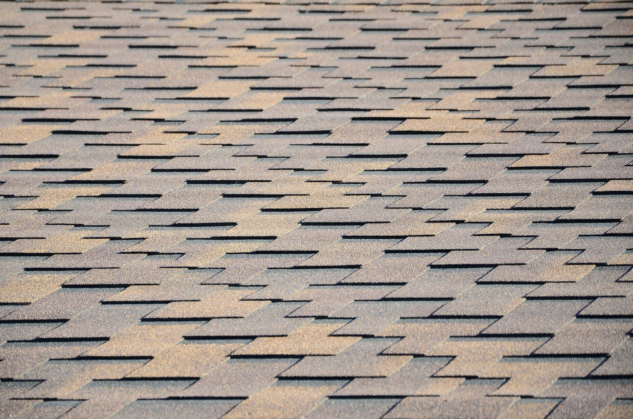 asphalt shingle