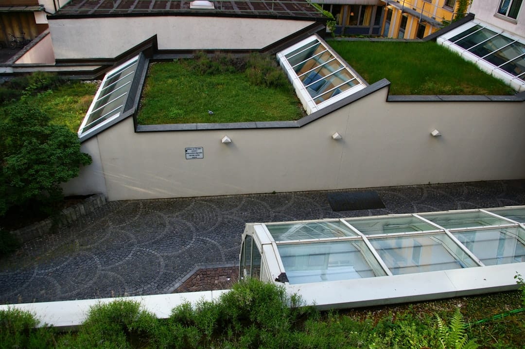 Picture of Building a Better Roof: Sustainable Choices for the Future - 12 Stones ...